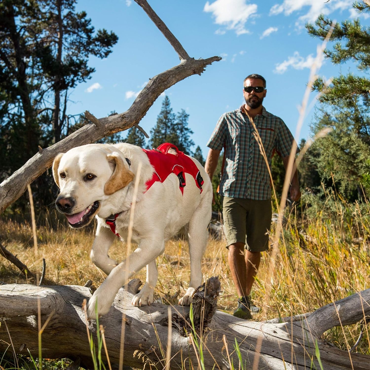 , Web Master, Multi-Use Support Dog Harness, Hiking and Trail Running, Service and Working, Everyday Wear, Red Currant, X-Small